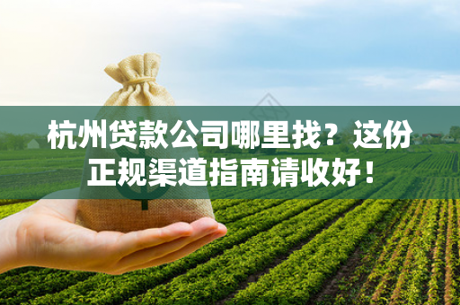 杭州贷款公司哪里找?这份正规渠道指南请收好!