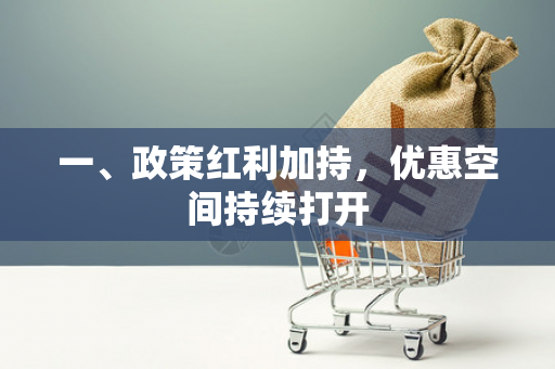 一、政策红利加持,优惠空间持续打开