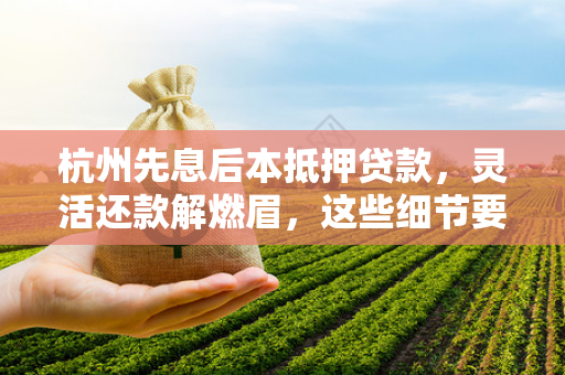 杭州先息后本抵押贷款,灵活还款解燃眉,这些细节要把握! 杭州先息后本抵押贷款,灵活还款解燃眉,这些细节要把握!