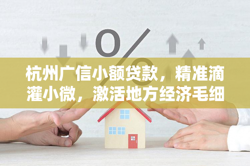 杭州广信小额贷款,精准滴灌小微,激活地方经济毛细血管 杭州广信小额贷款,精准滴灌小微,激活地方经济毛细血管