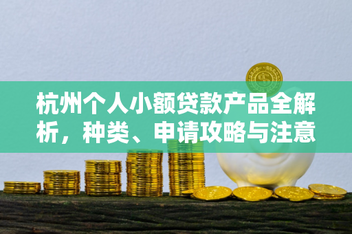 杭州个人小额贷款产品全解析,种类、申请攻略与注意事项