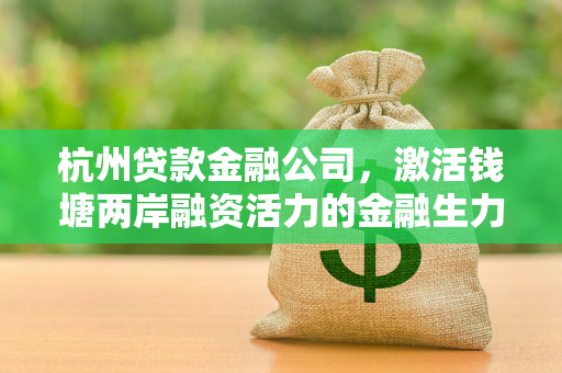 杭州贷款金融公司,激活钱塘两岸融资活力的金融生力军