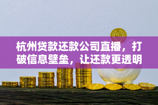 杭州贷款还款公司直播,打破信息壁垒,让还款更透明高效