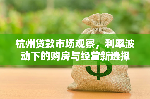 杭州贷款市场观察,利率波动下的购房与经营新选择