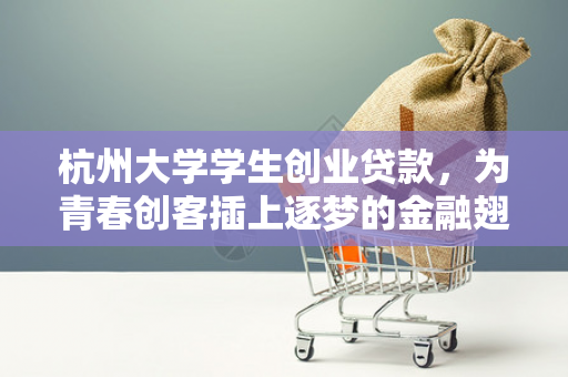 杭州大学学生创业贷款,为青春创客插上逐梦的金融翅膀