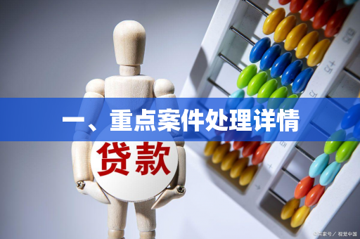 一、重点案件处理详情