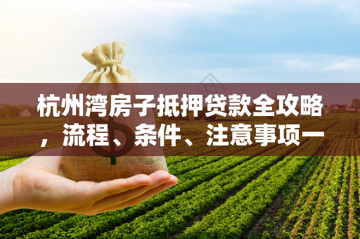 杭州湾房子抵押贷款全攻略,流程、条件、注意事项一文读懂