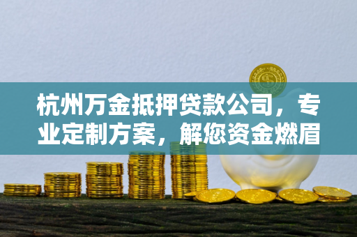 杭州万金抵押贷款公司,专业定制方案,解您资金燃眉之急 杭州万金抵押贷款公司,专业定制方案,解您资金燃眉之急