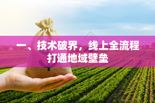 一、技术破界,线上全流程打通地域壁垒 一、技术破界,线上全流程打通地域壁垒