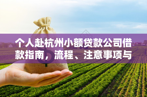 个人赴杭州小额贷款公司借款指南,流程、注意事项与合规要点