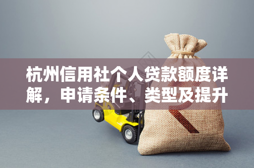 杭州信用社个人贷款额度详解，申请条件、类型及提升技巧