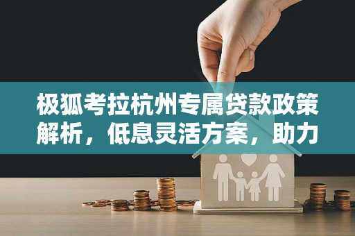 极狐考拉杭州专属贷款政策解析,低息灵活方案,助力家庭轻松拥车