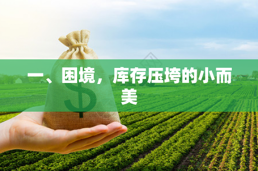 一、困境,库存压垮的小而美 一、困境,库存压垮的小而美
