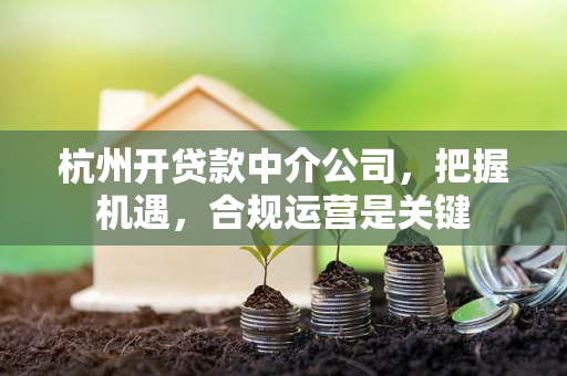 杭州开贷款中介公司,把握机遇,合规运营是关键