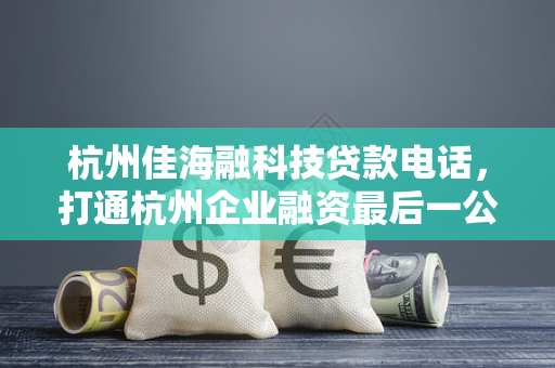 杭州佳海融科技贷款电话,打通杭州企业融资最后一公里的便捷桥梁 杭州佳海融科技贷款电话,打通杭州企业融资最后一公里的便捷桥梁