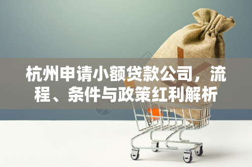 杭州申请小额贷款公司,流程、条件与政策红利解析 杭州申请小额贷款公司,流程、条件与政策红利解析
