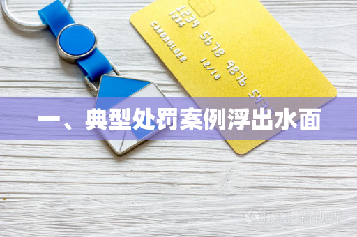 一、典型处罚案例浮出水面 一、典型处罚案例浮出水面