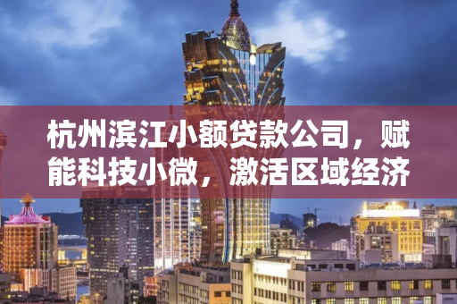 杭州滨江小额贷款公司,赋能科技小微,激活区域经济毛细血管