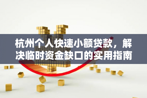 杭州个人快速小额贷款,解决临时资金缺口的实用指南