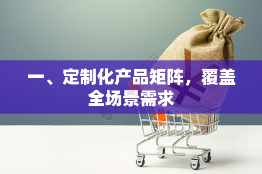 一、定制化产品矩阵,覆盖全场景需求 一、定制化产品矩阵,覆盖全场景需求