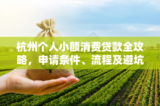 杭州个人小额消费贷款全攻略,申请条件、流程及避坑指南