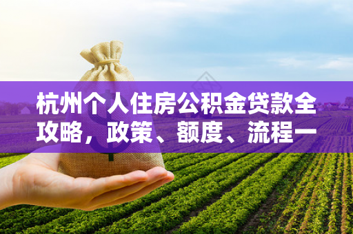 杭州个人住房公积金贷款全攻略,政策、额度、流程一文读懂