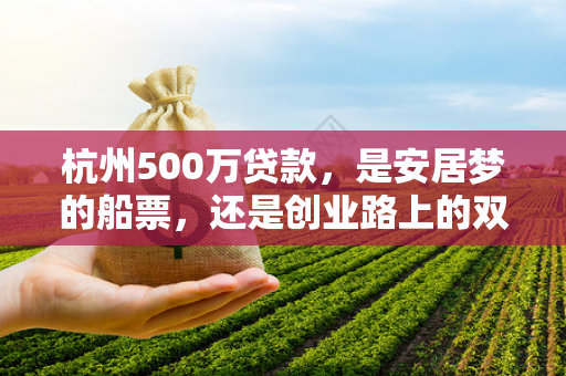 杭州500万贷款,是安居梦的船票,还是创业路上的双刃剑?