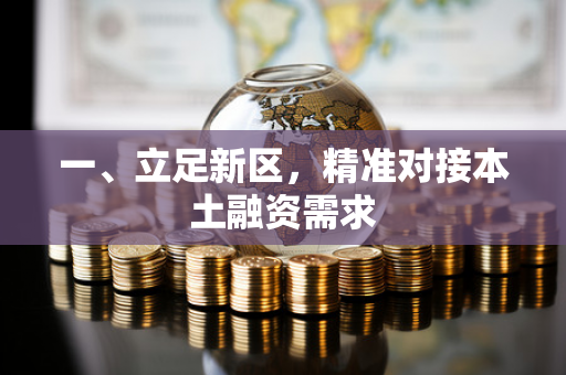 一、立足新区,精准对接本土融资需求
