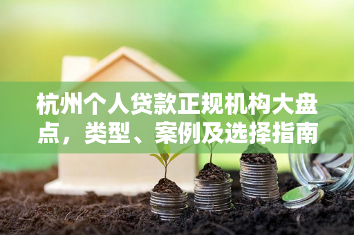 杭州个人贷款正规机构大盘点，类型、案例及选择指南