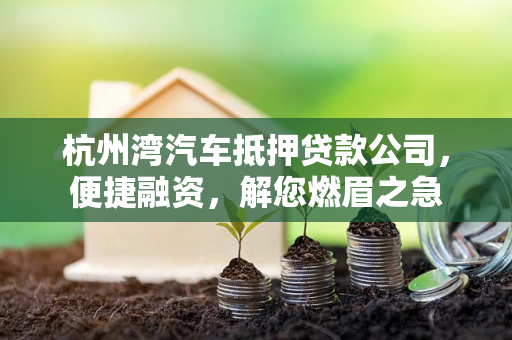 杭州湾汽车抵押贷款公司,便捷融资,解您燃眉之急