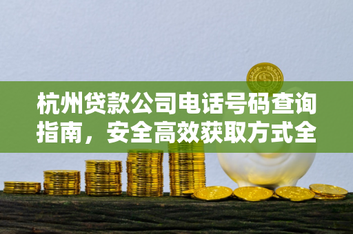 杭州贷款公司电话号码查询指南，安全高效获取方式全解析