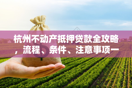 杭州不动产抵押贷款全攻略,流程、条件、注意事项一文读懂