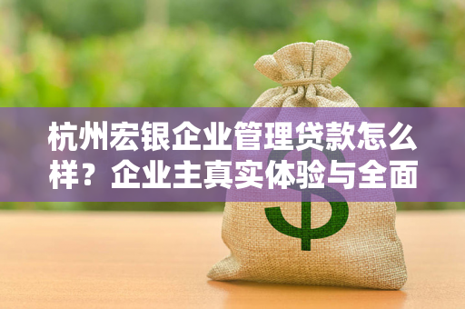 杭州宏银企业管理贷款怎么样?企业主真实体验与全面解析 杭州宏银企业管理贷款怎么样?企业主真实体验与全面解析