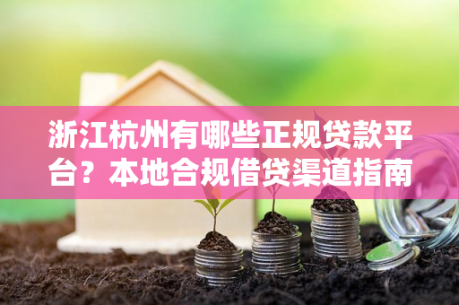 浙江杭州有哪些正规贷款平台？本地合规借贷渠道指南