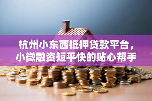 杭州小东西抵押贷款平台,小微融资短平快的贴心帮手
