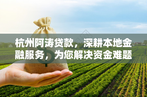 杭州阿涛贷款,深耕本地金融服务,为您解决资金难题