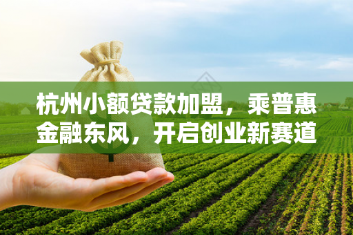 杭州小额贷款加盟,乘普惠金融东风,开启创业新赛道