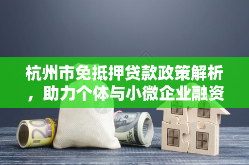 杭州市免抵押贷款政策解析,助力个体与小微企业融资新路径 杭州市免抵押贷款政策解析,助力个体与小微企业融资新路径
