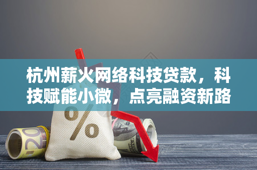 杭州薪火网络科技贷款,科技赋能小微,点亮融资新路径