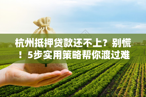 杭州抵押贷款还不上?别慌!5步实用策略帮你渡过难关 杭州抵押贷款还不上?别慌!5步实用策略帮你渡过难关