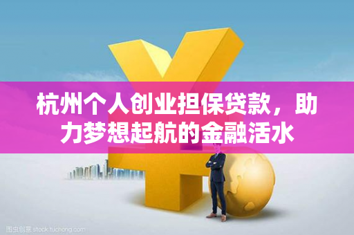 杭州个人创业担保贷款,助力梦想起航的金融活水