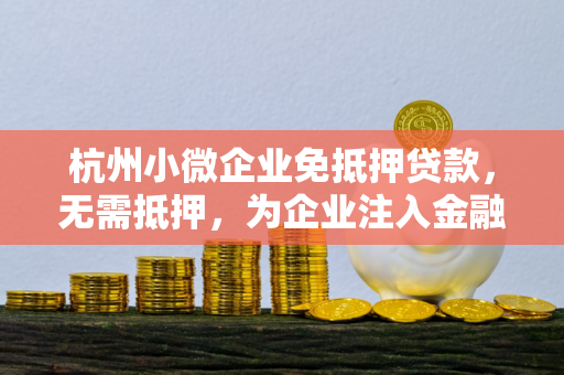 杭州小微企业免抵押贷款,无需抵押,为企业注入金融活水