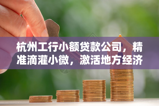 杭州工行小额贷款公司,精准滴灌小微,激活地方经济毛细血管