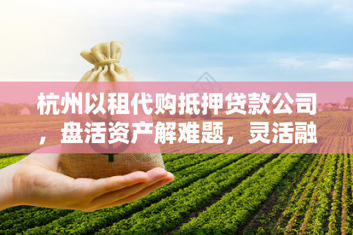 杭州以租代购抵押贷款公司,盘活资产解难题,灵活融资新路径