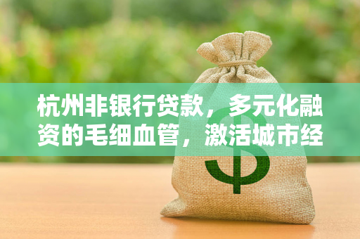 杭州非银行贷款,多元化融资的毛细血管,激活城市经济微活力 杭州非银行贷款,多元化融资的毛细血管,激活城市经济微活力