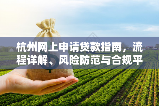 杭州网上申请贷款指南,流程详解、风险防范与合规平台推荐