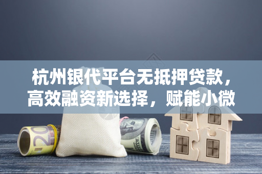 杭州银代平台无抵押贷款,高效融资新选择,赋能小微与个人发展