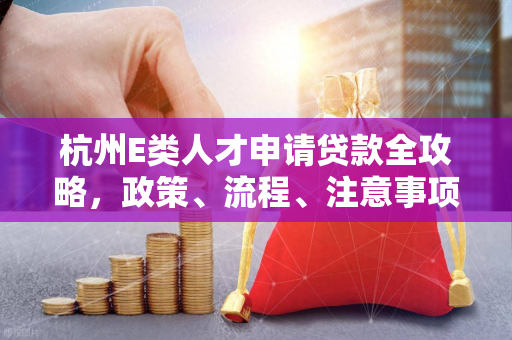 杭州E类人才申请贷款全攻略,政策、流程、注意事项一文读懂