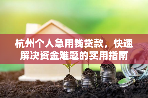杭州个人急用钱贷款,快速解决资金难题的实用指南