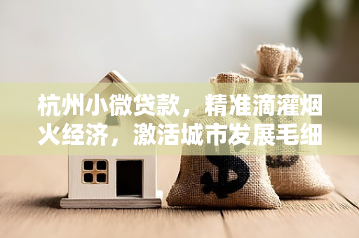 杭州小微贷款,精准滴灌烟火经济,激活城市发展毛细血管